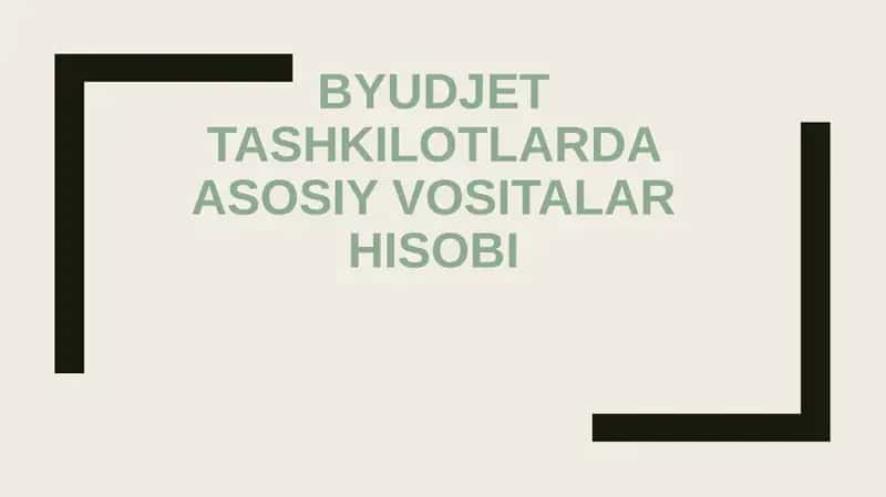 BYUDJET TASHKILOTLARDA ASOSIY VOSITALAR HISOBI