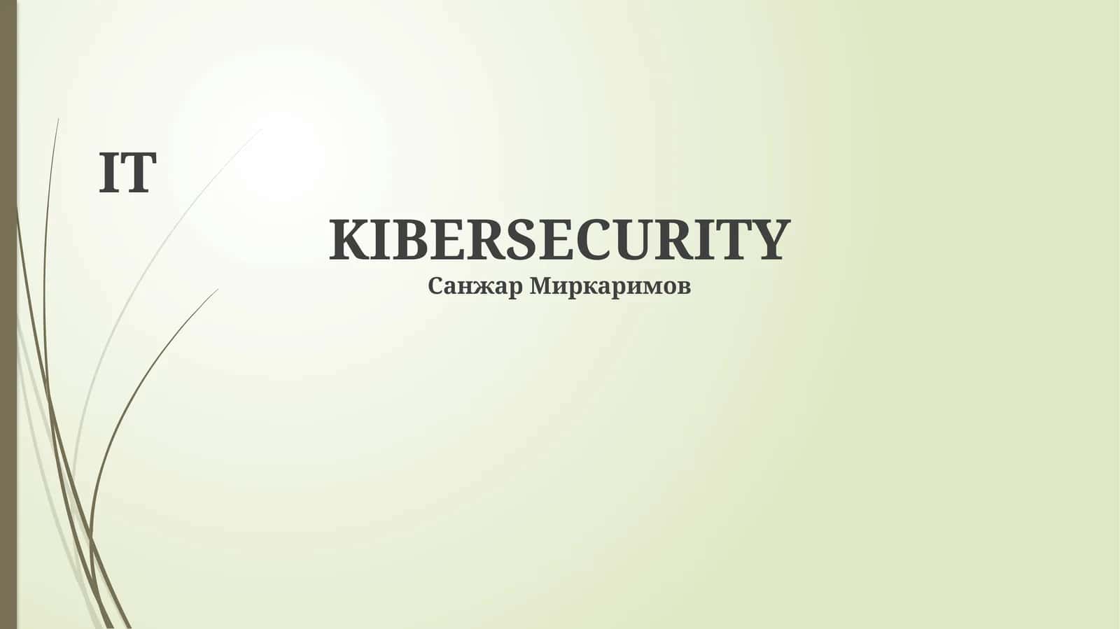 KIBERSECURITY