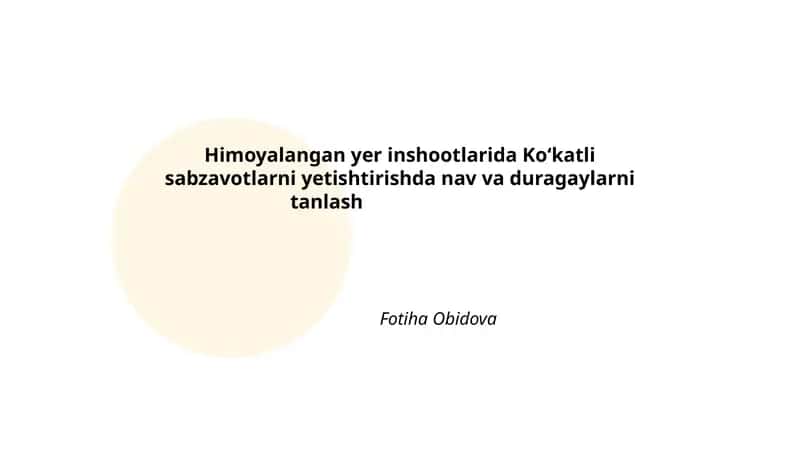 Himoyalangan yer inshootlarida Ko‘katli sabzavotlarni yеtishtirishda nav va duragaylarni tanlash