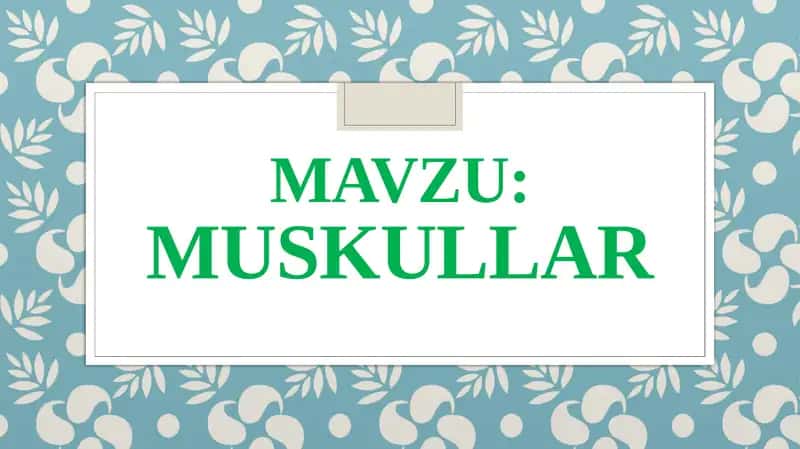 Muskullar