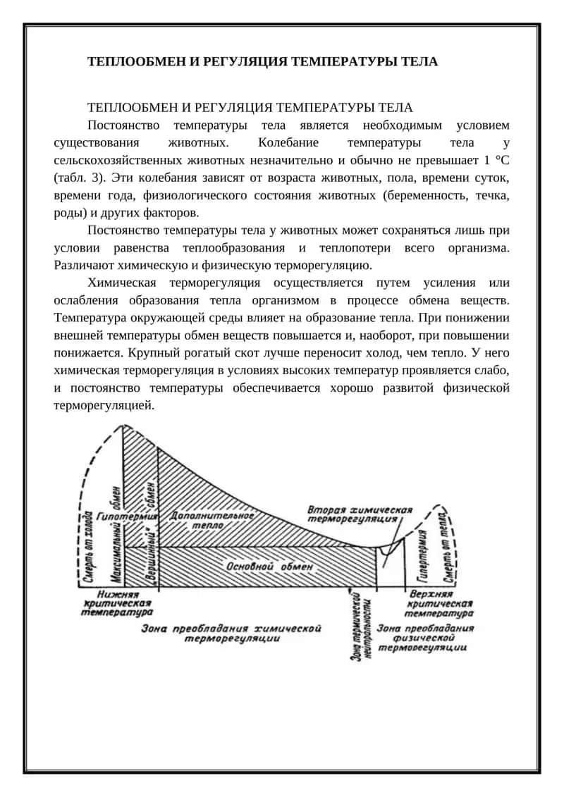 Теплообмен и регуляция температуры тела