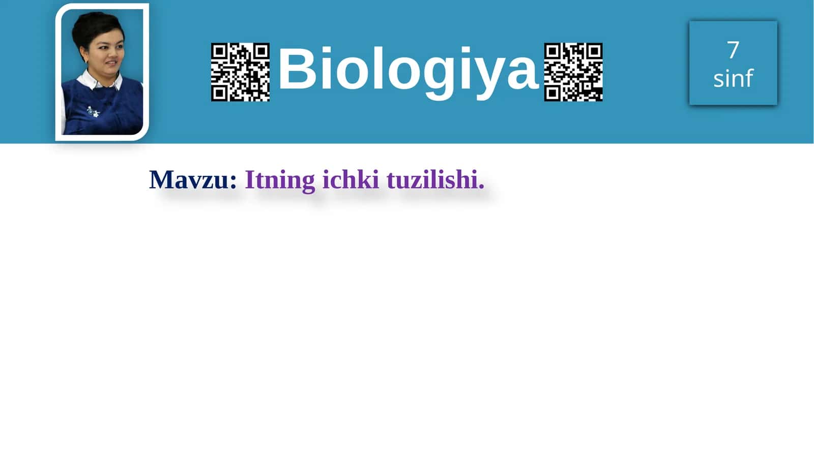 Itning ichki tuzilishi
