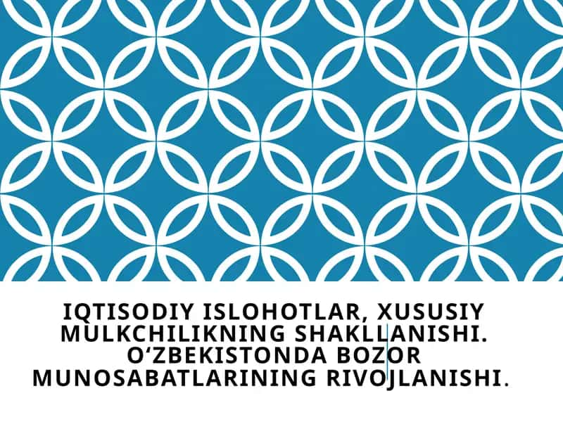 Iqtisodiy islohotlar, xususiy mulkchilikning shakllanishi. O‘zbekistonda bozor munosabatlarining rivojlanishi