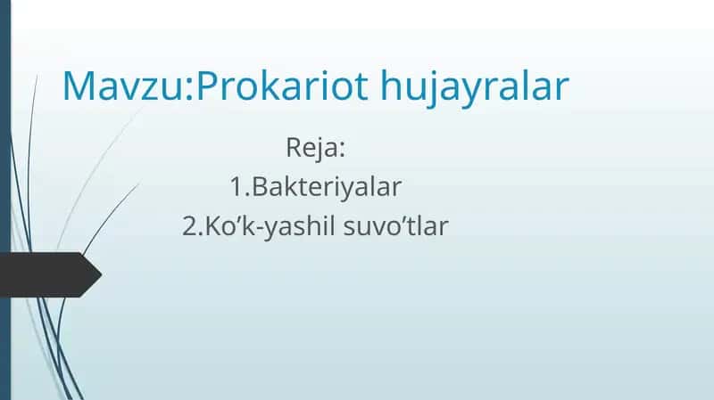 Prokariothujayralar