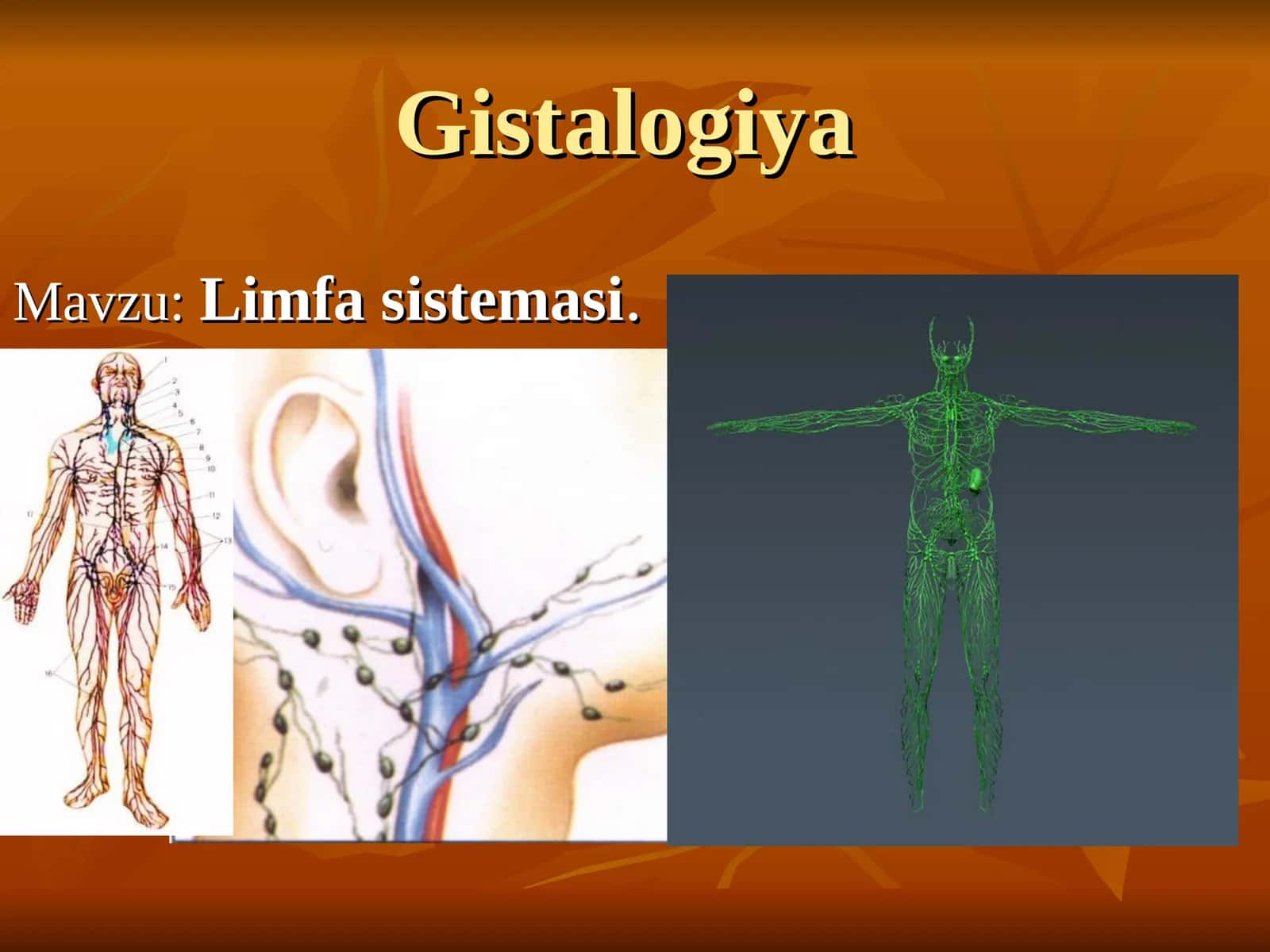 Limfa sistemasi