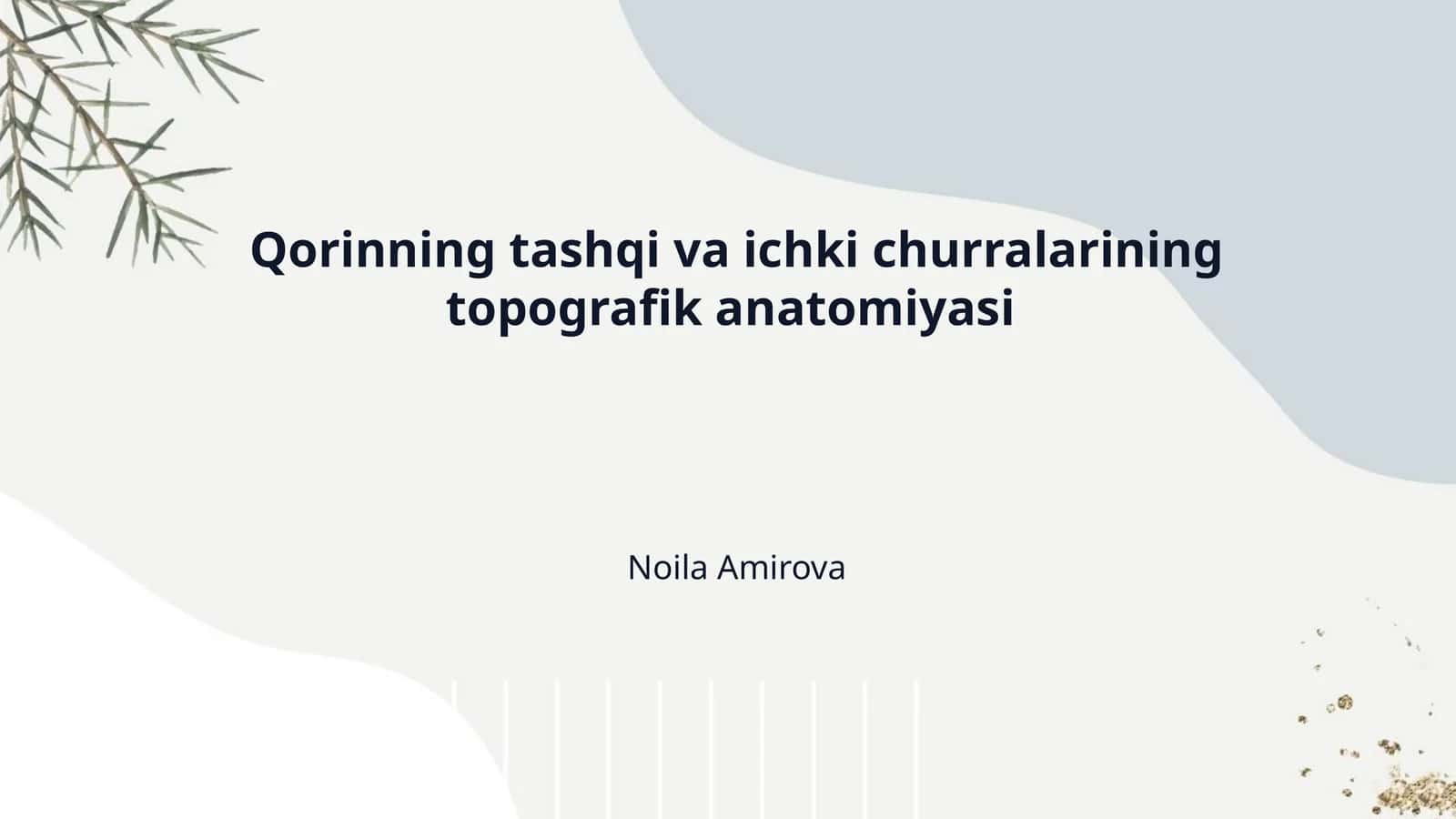 Qorinning tashqi va ichki churralarining topografik anatomiyasi