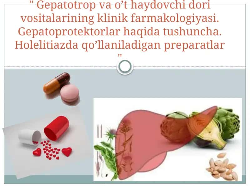 Gepatoprotektorlar