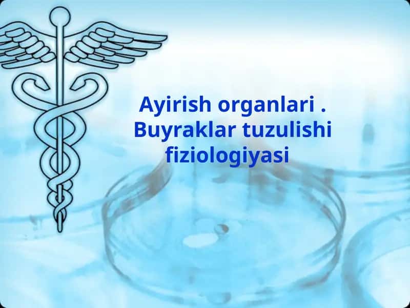 Ayirish organlari va ularning vazifalari
