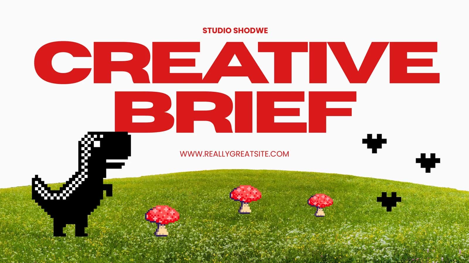 STUDIO SHODWE