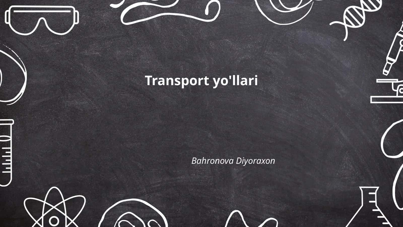 Transport yo'llari