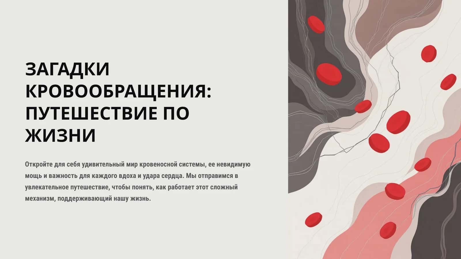 ЗАГАДКИ КРОВООБРАЩЕНИЯ: ПУТЕШЕСТВИЕ ПО ЖИЗНИ