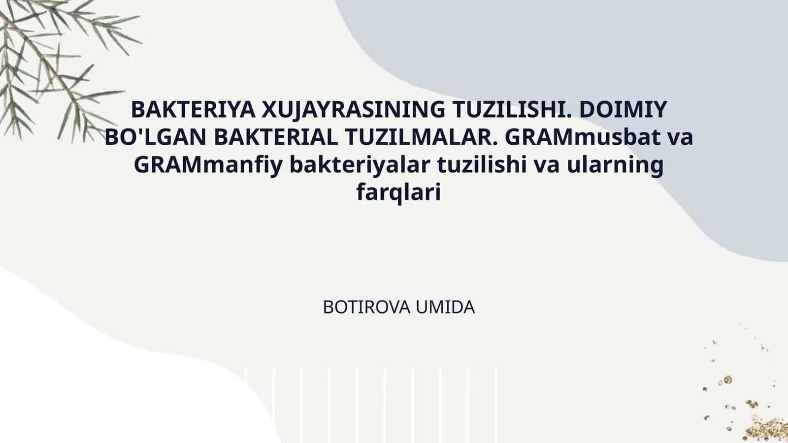 BAKTERIYA XUJAYRASINING TUZILISHI. DOIMIY BO'LGAN BAKTERIAL TUZILMALAR. GRAMmusbat va GRAMmanfiy bakteriyalar tuzilishi va ularning farqlari