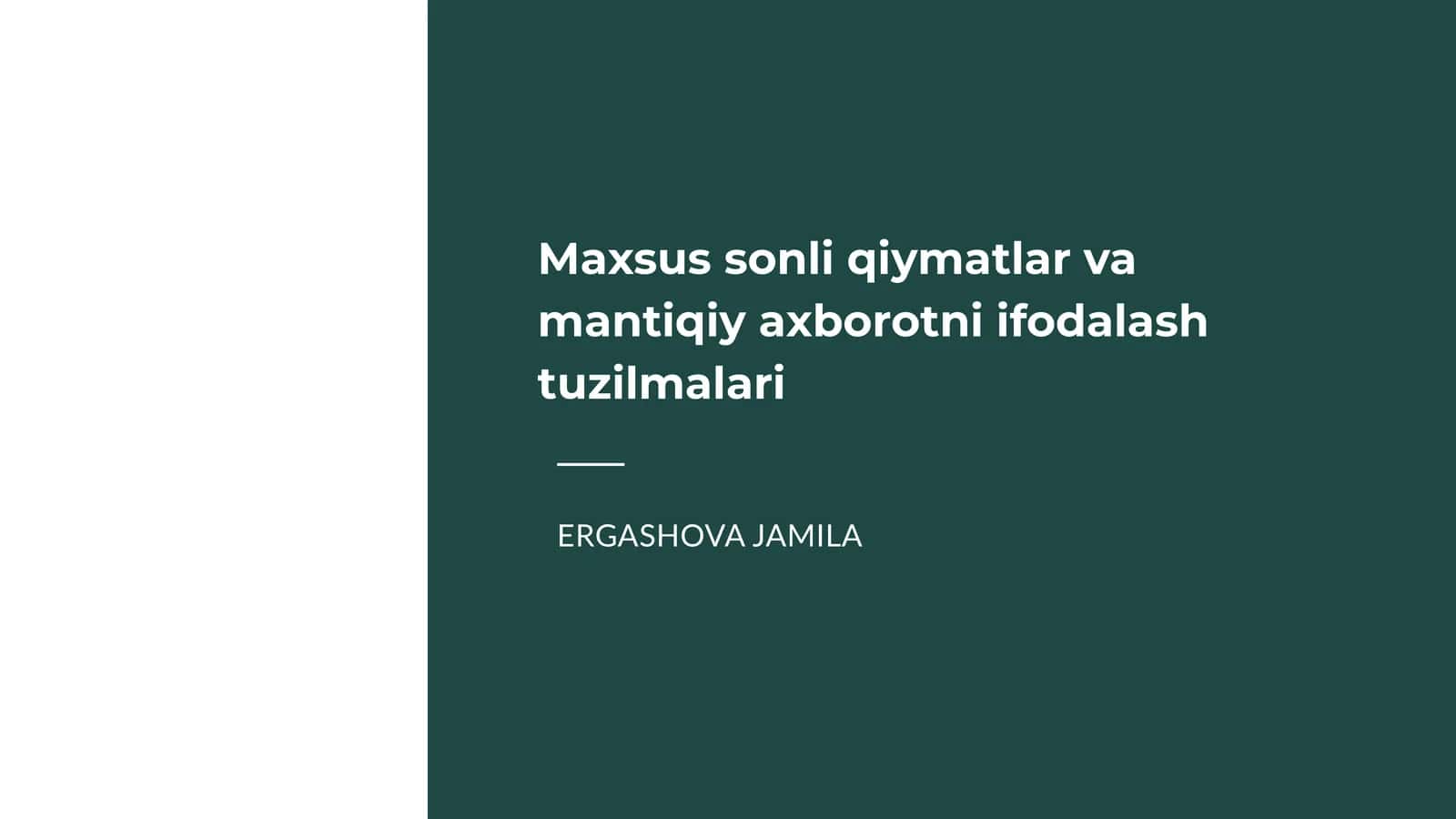 Maxsus sonli qiymatlar va mantiqiy axborotni ifodalash tuzilmalari