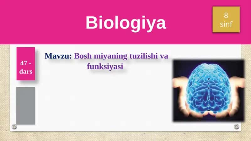 Boshmiyaningtuzilishivafunksiyasi