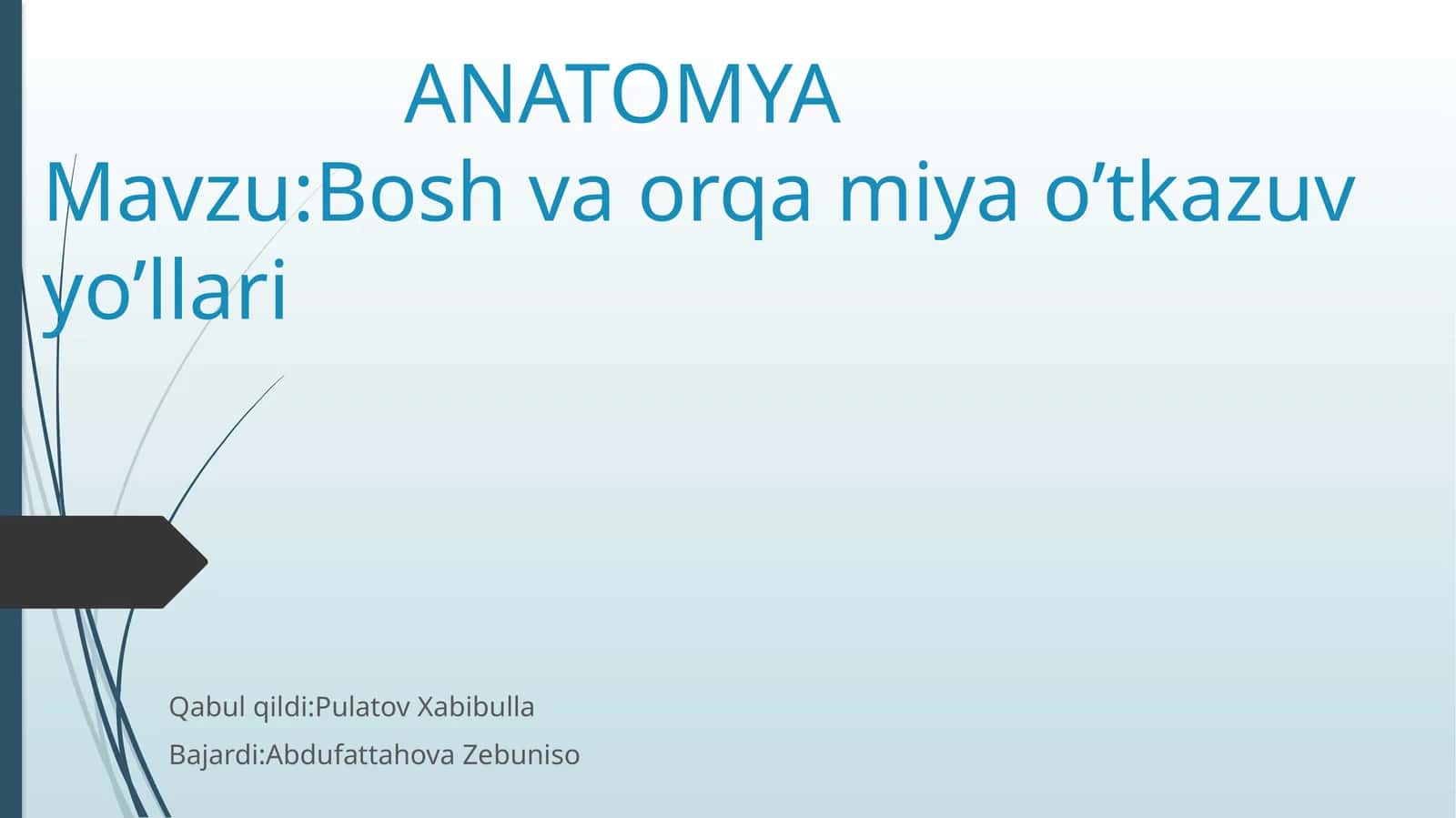 Bosh va orqa miya o‘tkazuv yo‘llari