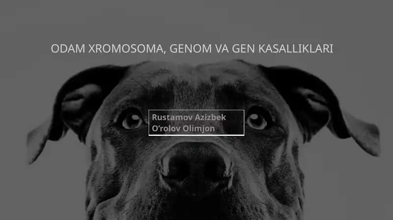 Odam xromosoma, genom va gen kasalliklari