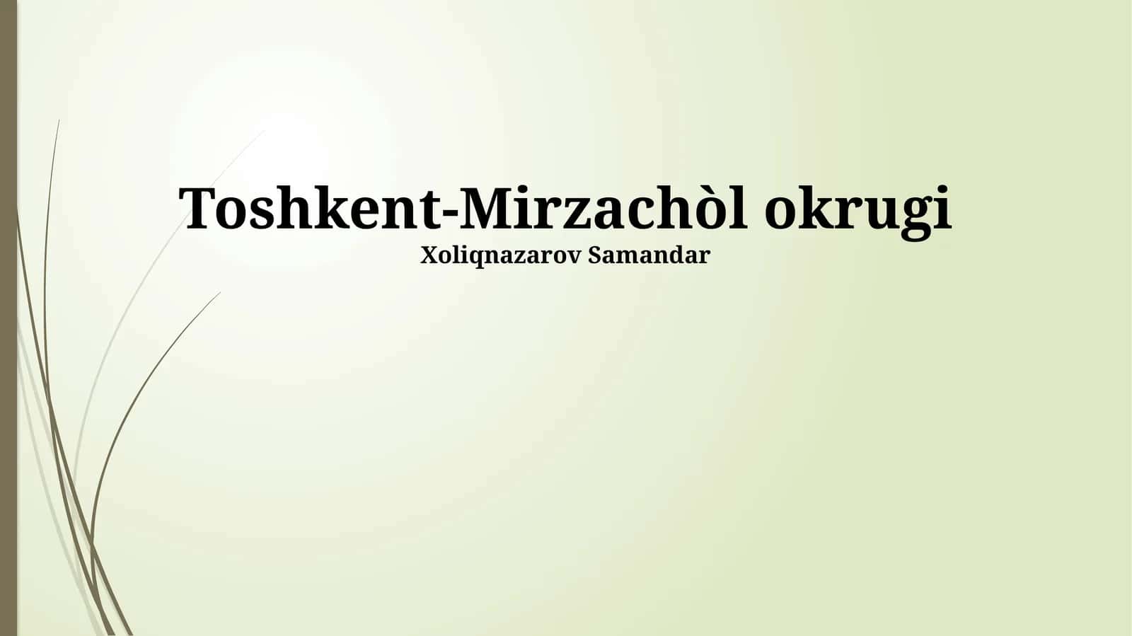 Toshkent-Mirzachòl okrugi