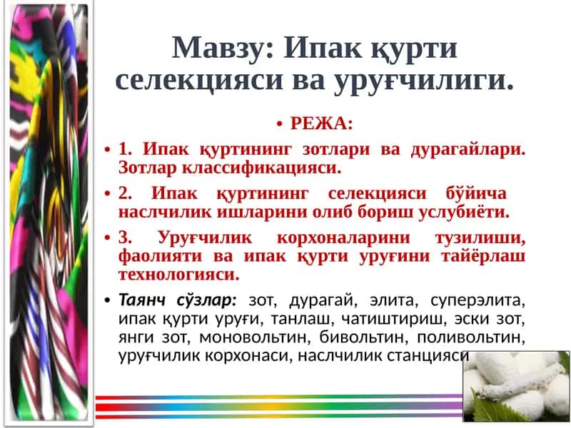 Ипак қуртиселекцияси ва уруғчилиги