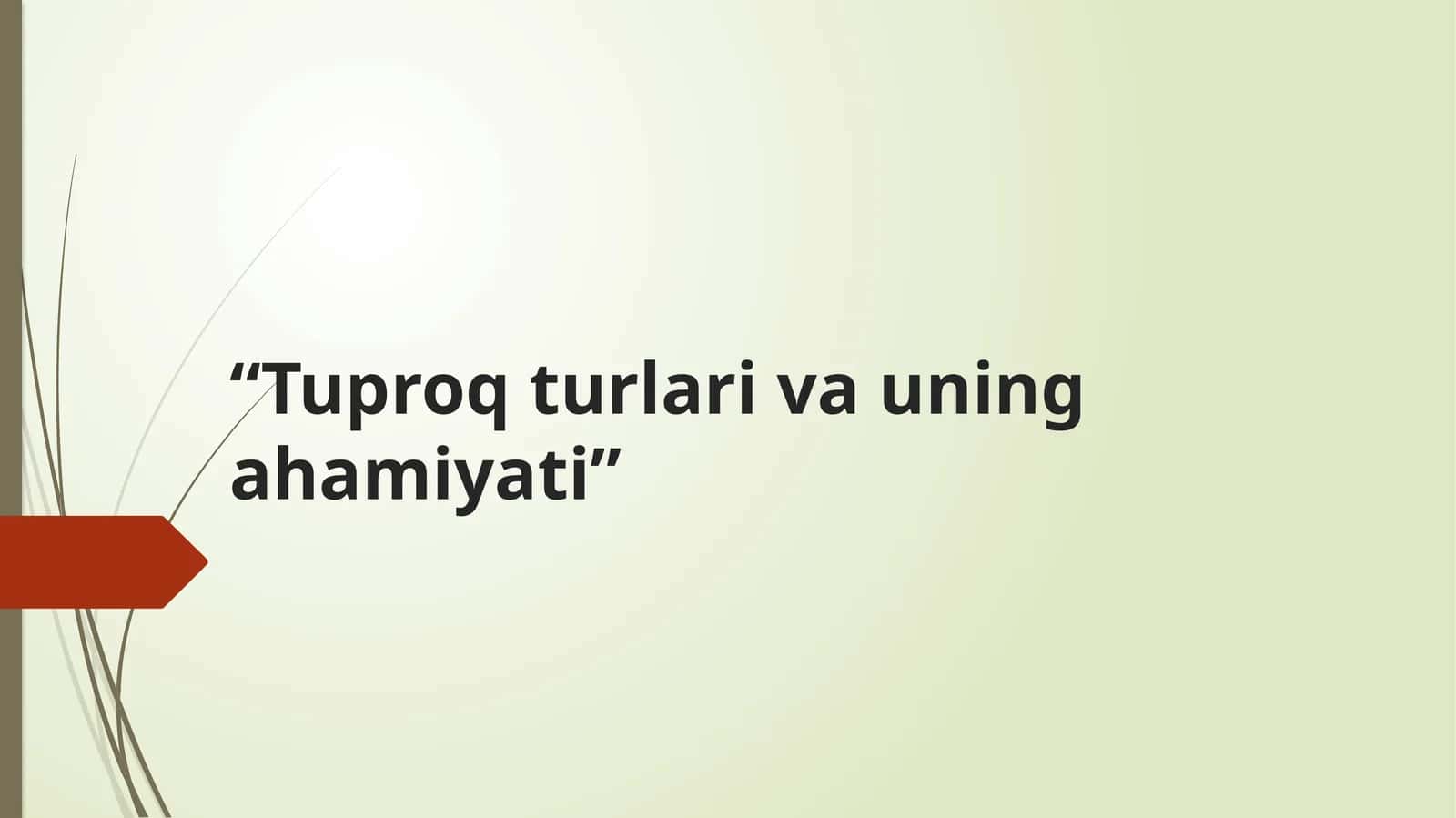 Tuproq turlari va uning ahamiyati