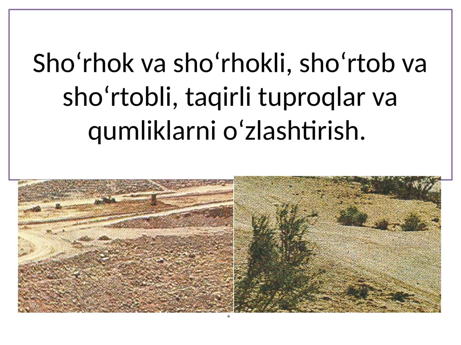 Sho‘rhok va sho‘rhokli, sho‘rtob va sho‘rtobli, taqirli tuproqlar va qumliklarni o‘zlashtirish