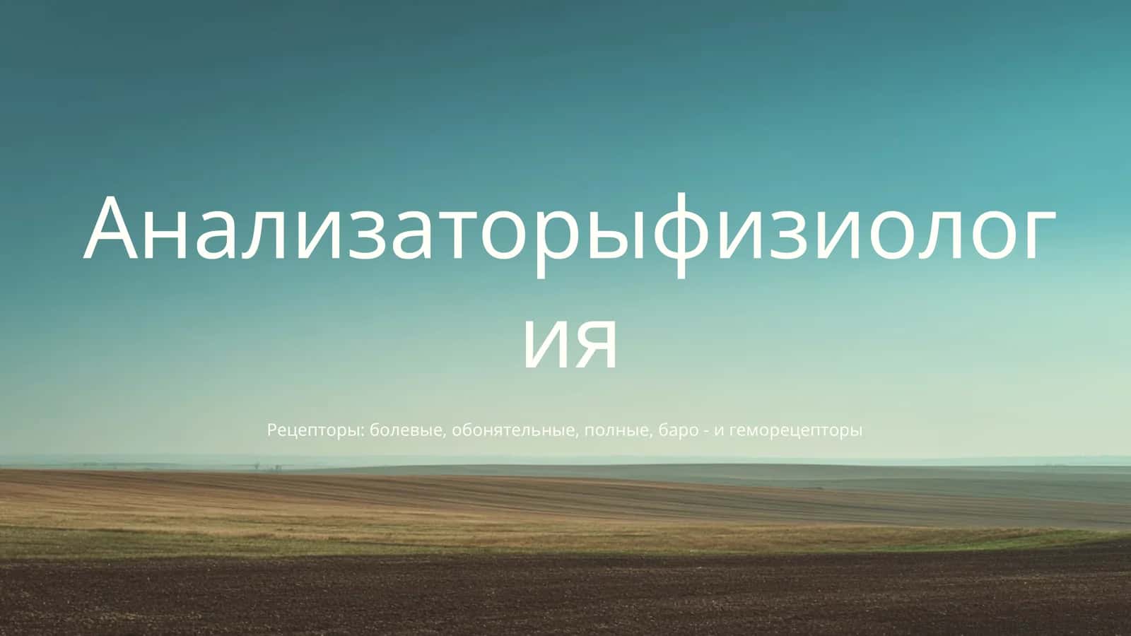 Анализаторыфизиология