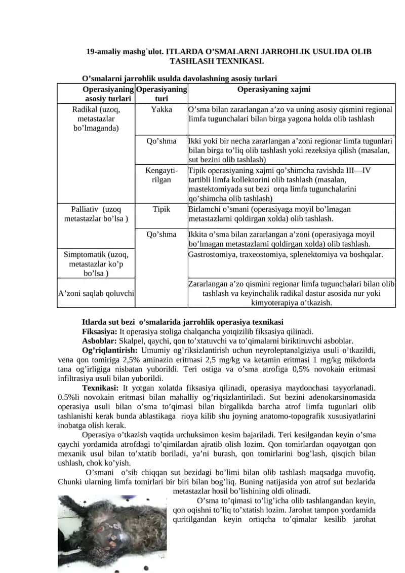 ITLARDA O’SMALARNI JARROHLIK USULIDA OLIB TASHLASH TEXNIKASI