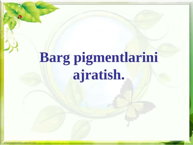 Pigmentlar va ularning xilma-xilligi