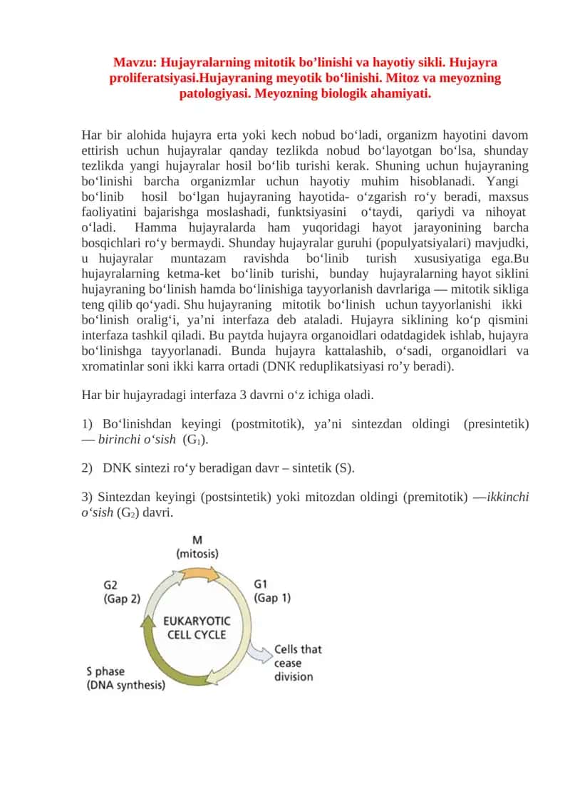 Hujayralarning mitotik bo’linishi va hayotiy sikli