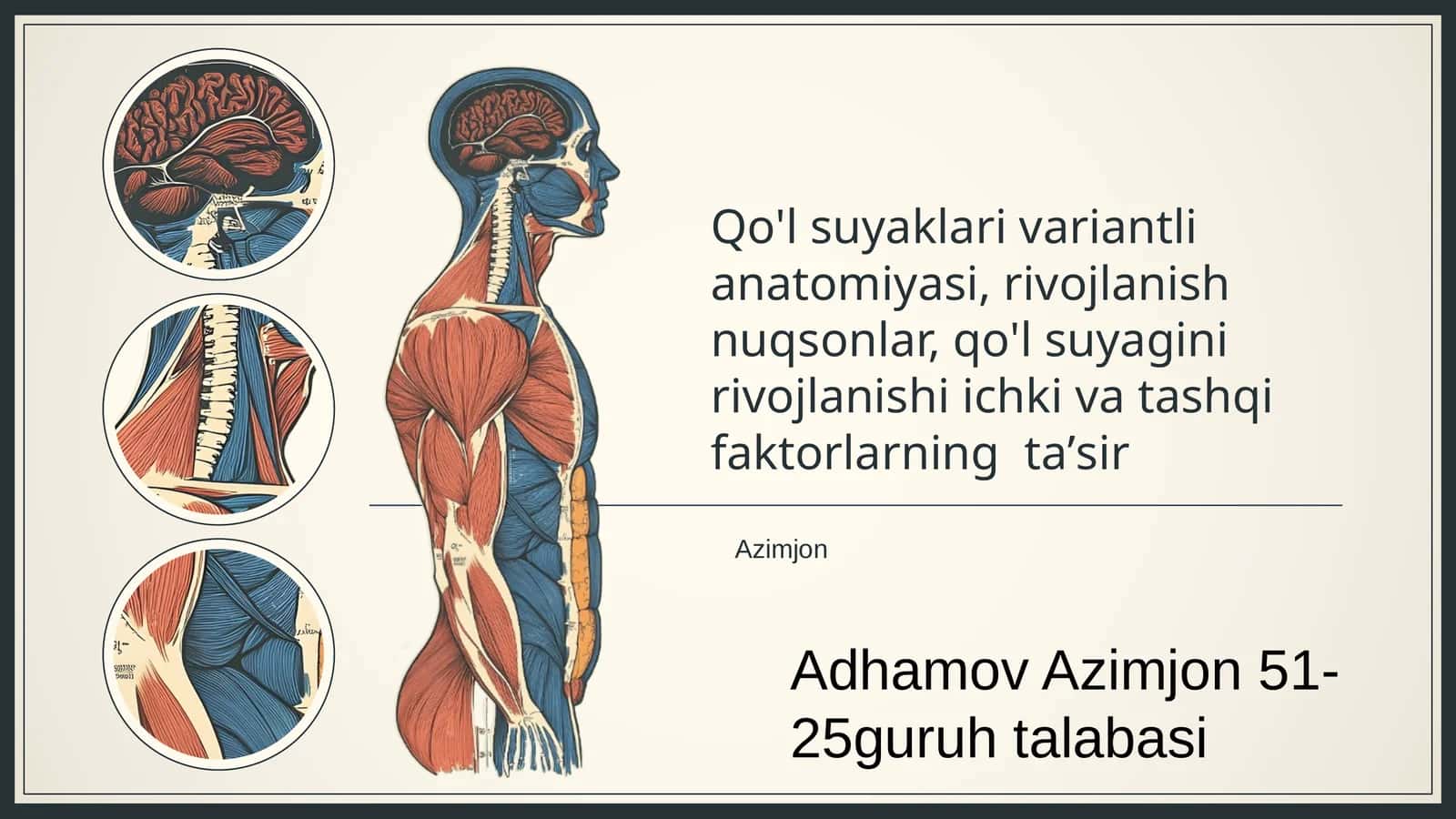 Qo'l suyaklari variantli anatomiyasi