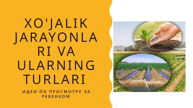 Xo'jalik jarayonlari va ularning turlari
