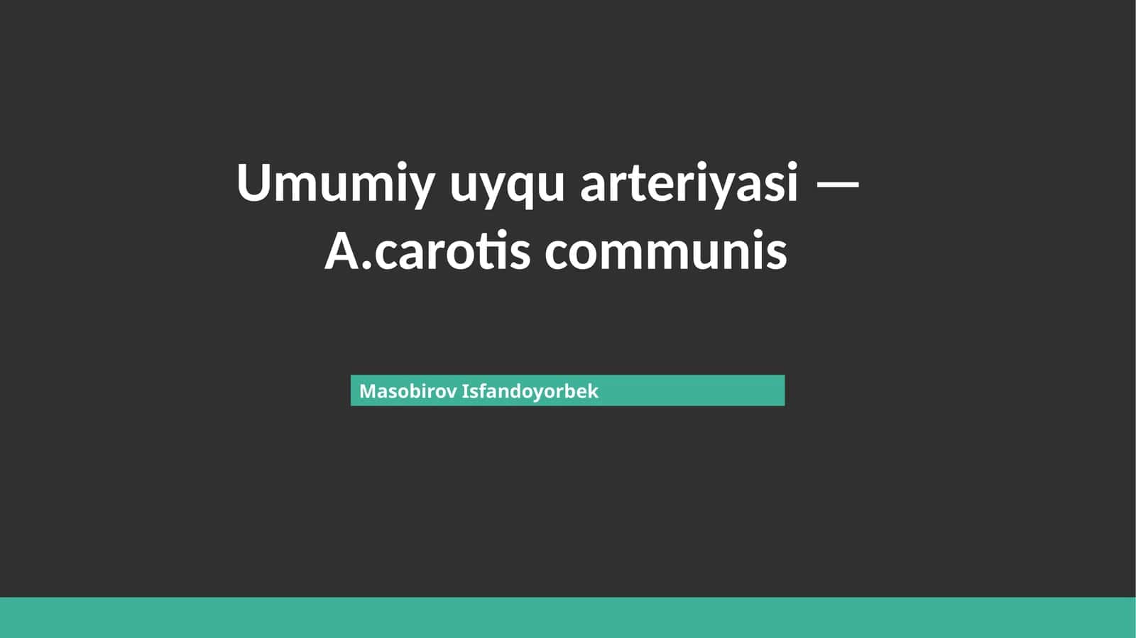 Umumiy uyqu arteriyasi — A.carotis communis