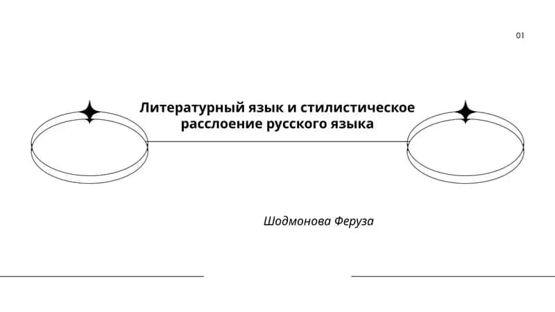 Литературный язык и стилистическое расслоение русского языка