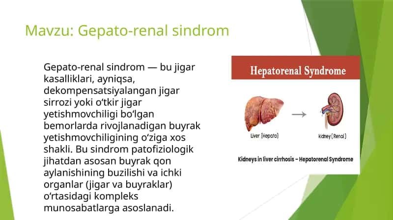 Gepato-renalsindrom