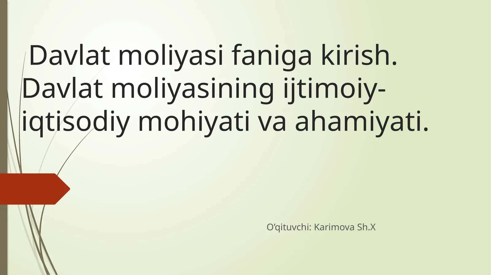 Davlat moliyasi faniga kirish