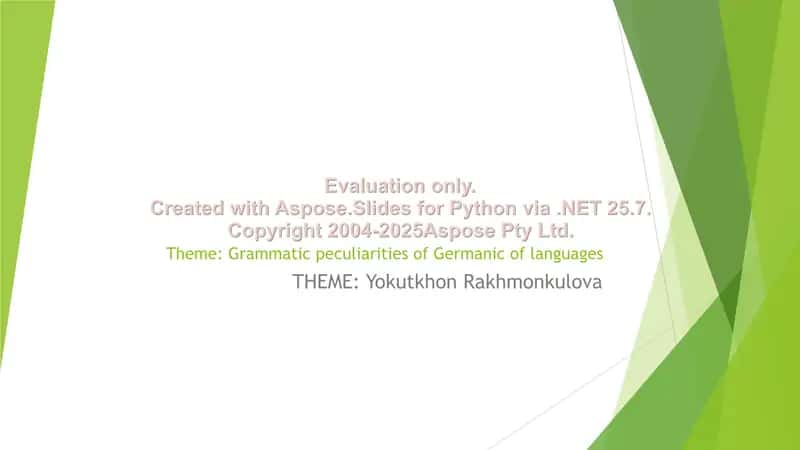 Grammatik xususiyatlari