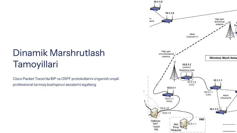 Dinamik Marshrutlash Tamoyillari