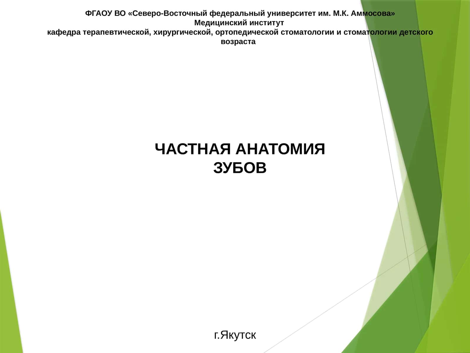 ЧАСТНАЯ АНАТОМИЯ ЗУБОВ