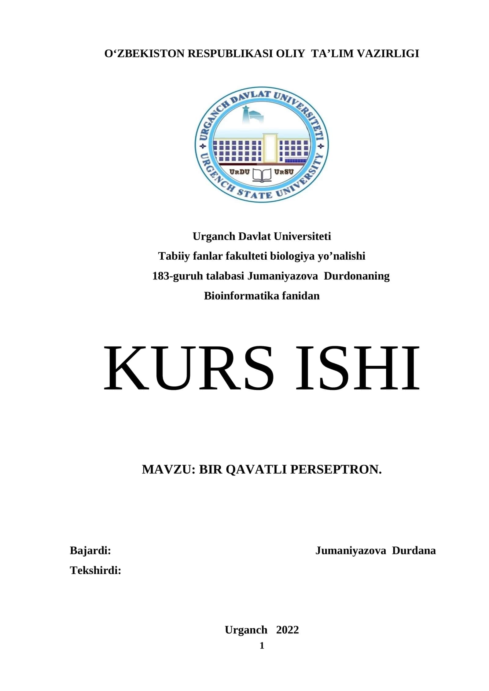 BIR QAVATLI PERSEPTRON