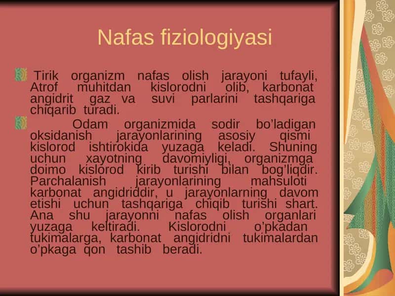 Nafas fiziologiyasi