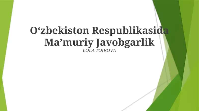 Ma'muriy Javobgarlik