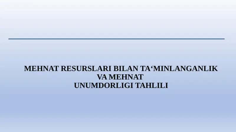 MEHNAT RESURSLARI BILAN TA‘MINLANGANLIK VA MEHNATUNUMDORLIGI TAHLILI