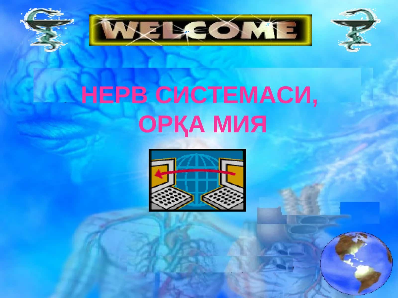 НЕРВ СИСТЕМАСИ