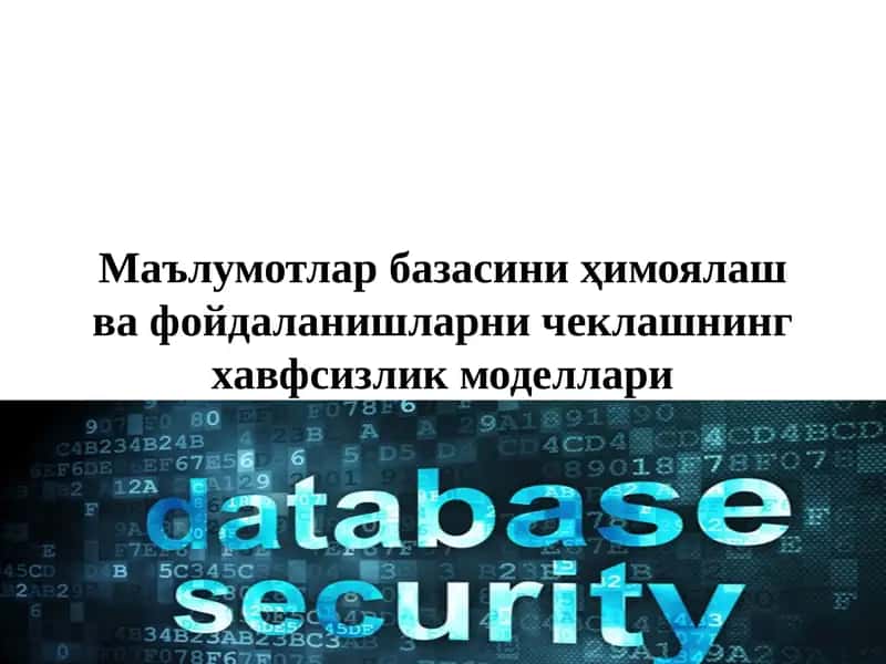 Маълумотлар базасини ҳимоялаш ва фойдаланишларни чеклашнинг хавфсизлик моделлари