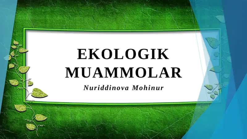 Ekologik muammolar