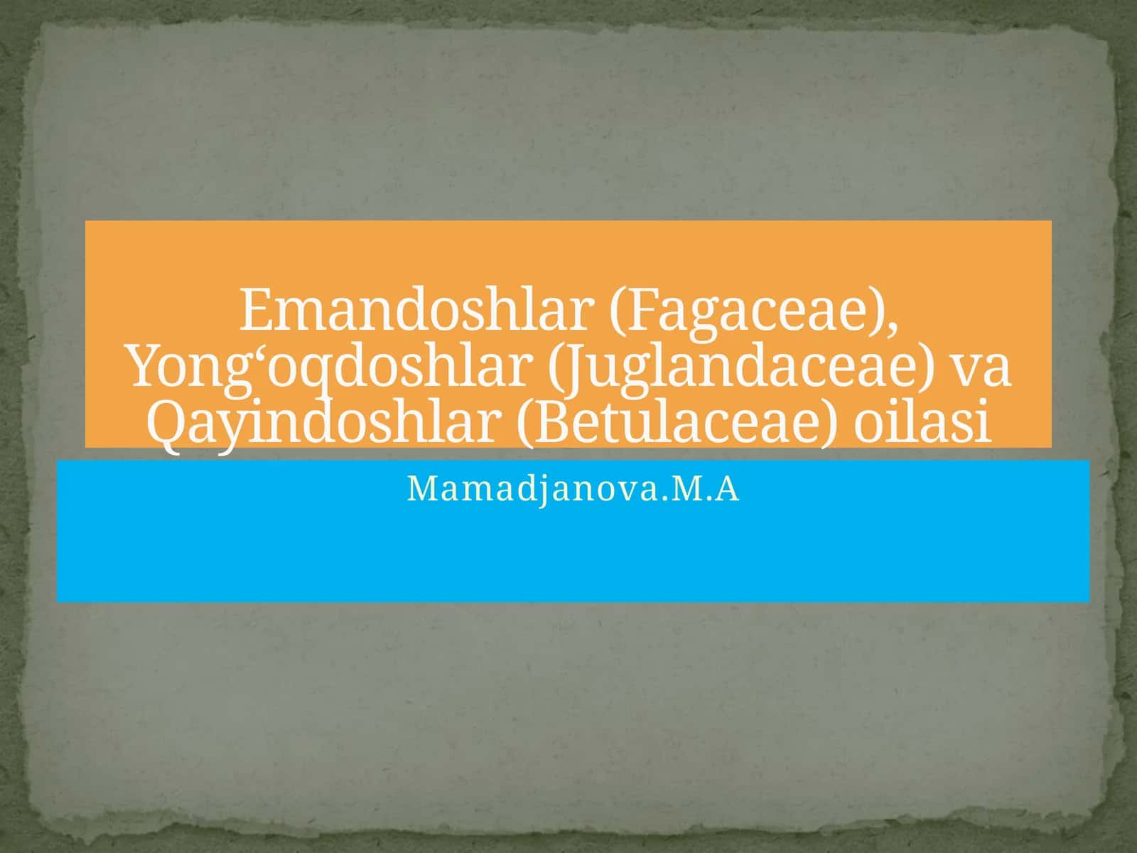 Emandoshlar (Fagaceae), Yong‘oqdoshlar (Juglandaceae) va Qayindoshlar (Betulaceae) oilasi
