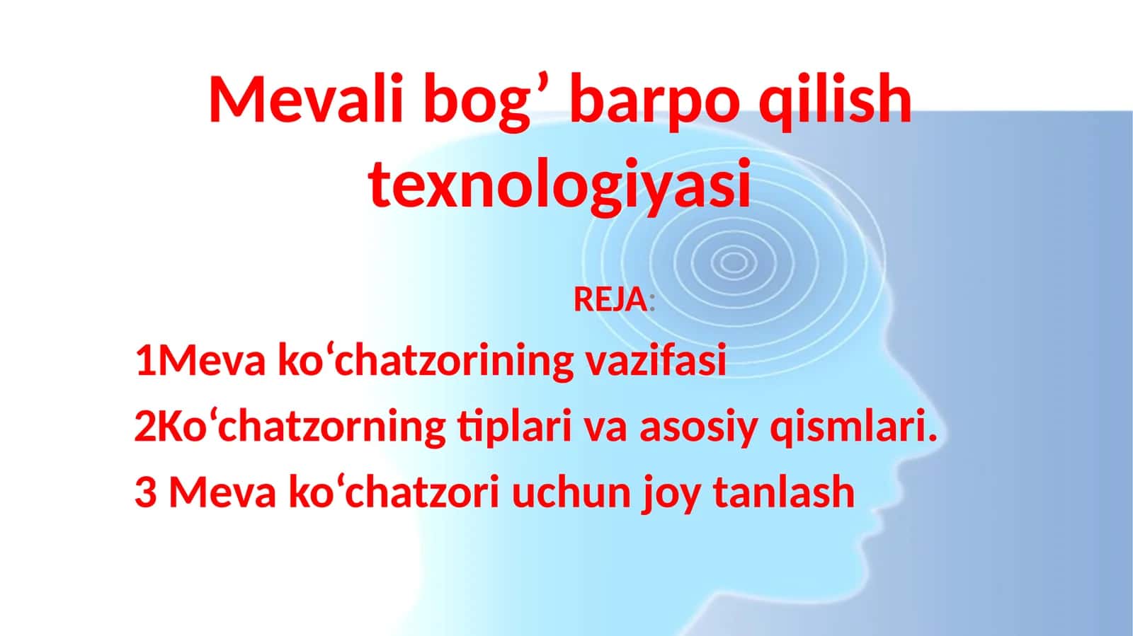 mustaqil ishi
