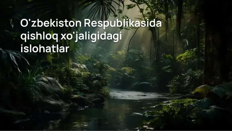 O'zbekiston Respublikasida qishloq xo'jaligidagi islohatlar