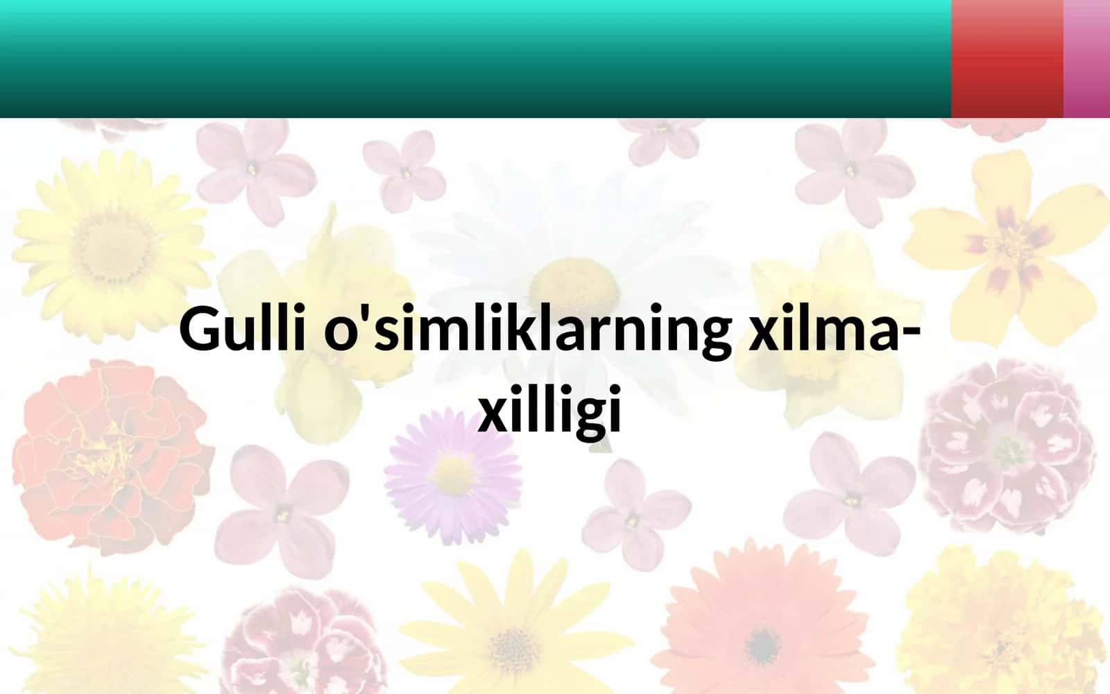 Gulli o'simliklarning xilma-xilligi