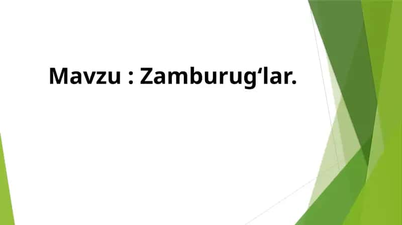 Zamburugʻlar