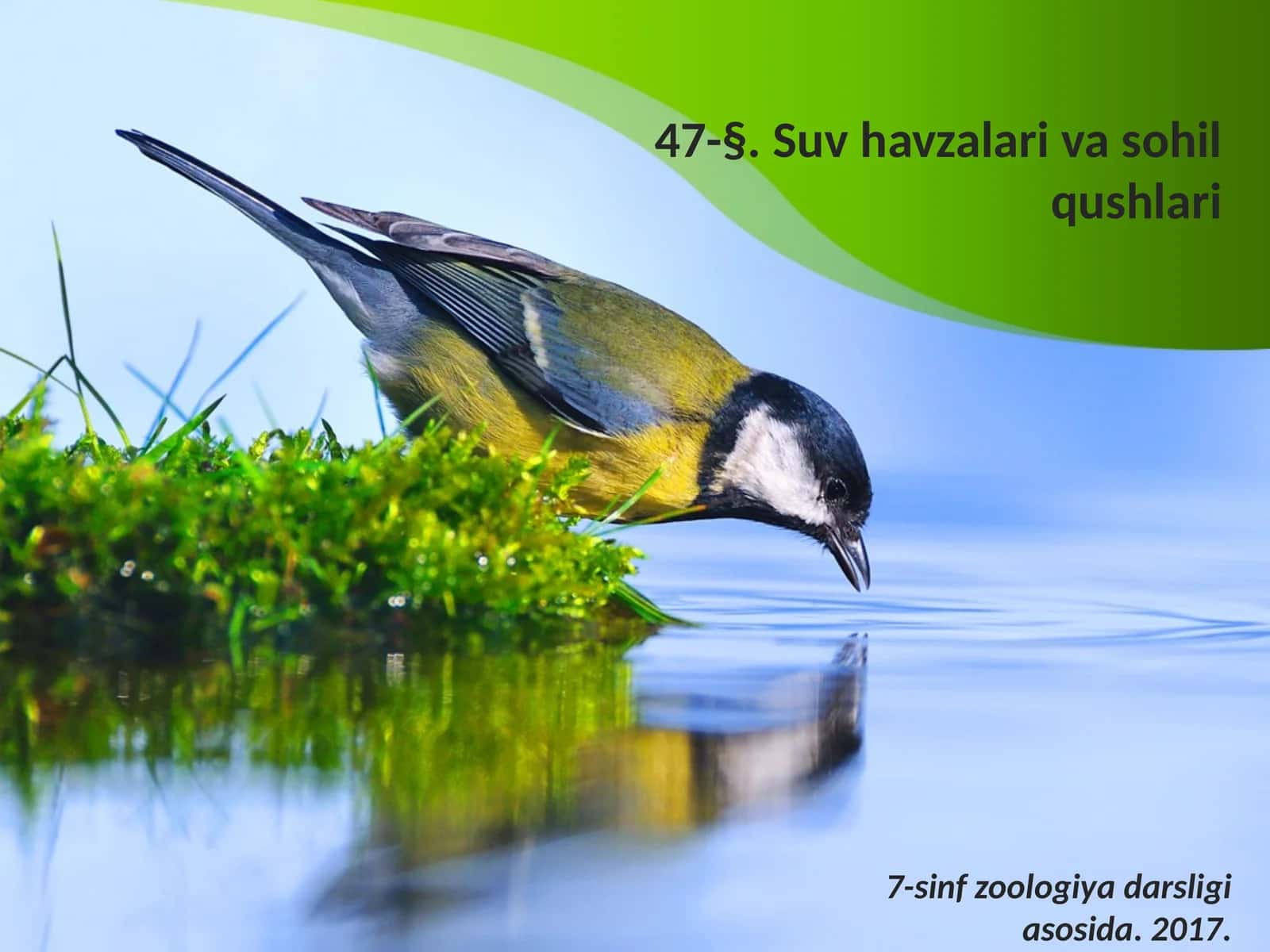 7-sinf Zoologiya 'Suv havzalari va sohil qushlari' ko'rgazma